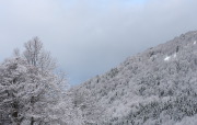 IMGP3897+.jpg