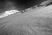 IMGP3937+.jpg