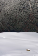 IMGP3953+.jpg