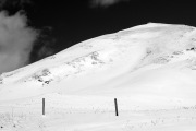 IMGP4038+.jpg