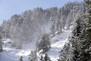 IMGP4202+.jpg