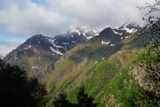 P1050689+.jpg