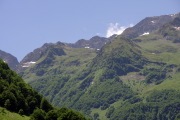 IMGP5101+.jpg