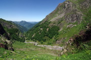 IMGP5107+.jpg