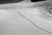 IMGP0793+.jpg