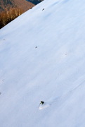 IMGP0922+.jpg