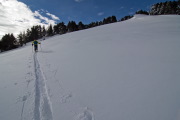 IMGP1100+.jpg