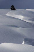 IMGP1116+.jpg