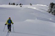 IMGP1119+.jpg