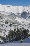 IMGP1264+.jpg
