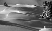IMGP1277+.jpg