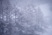 IMGP3134+.jpg