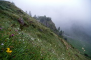IMGP8657+.jpg