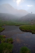 IMGP8664+.jpg