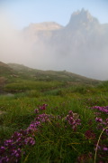 IMGP8672+.jpg