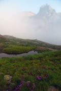 IMGP8673+.jpg