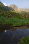 IMGP8690+.jpg
