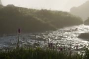 IMGP8716+.jpg