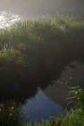 IMGP8718+.jpg