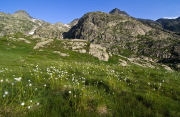 IMGP8736+.jpg