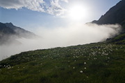 IMGP8738+.jpg