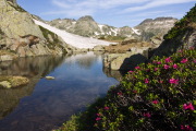 IMGP8786+.jpg