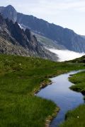 IMGP8817+.jpg
