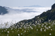 IMGP8827+.jpg